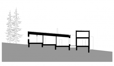 KOTINI - <br>Cut<br>