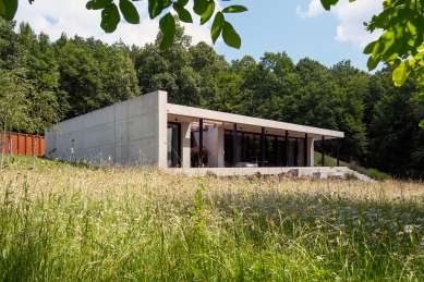 Concrete house by the forest