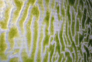 Coexist, Coacts, Collaborate - výstava v Galerii UM