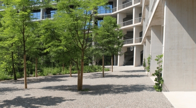 kruh jaro 2024 - Michelle Delk a Thomas Kissling - foto: VOGT Landscape Architects
