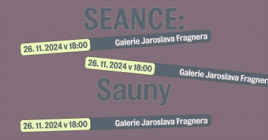 Seance 9: Sauny - debata v GJF