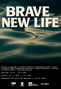 Brave New Life