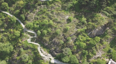 kruh podzim 2025: Sarah Cowles, Ruderal