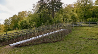 kruh podzim 2025: Sarah Cowles, Ruderal