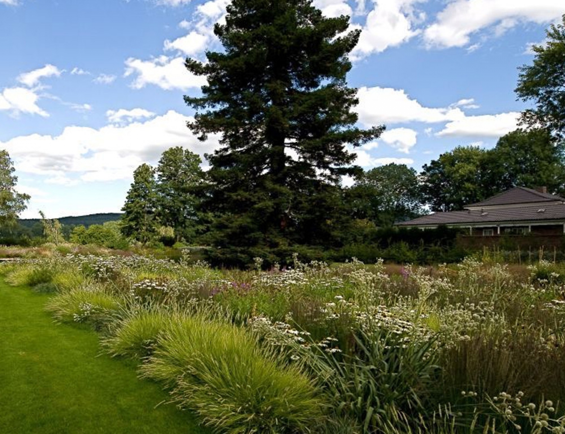 その他 Piet Oudolf Landscapes Piet Oudolf: Landscapes In Landscapes | ArchitectureAu