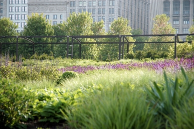 Piet Oudolf - portrét současné evropské krajinářské architektury  - Lurie Garden - foto: Linda Oyama Bryan, Mark Tomaras