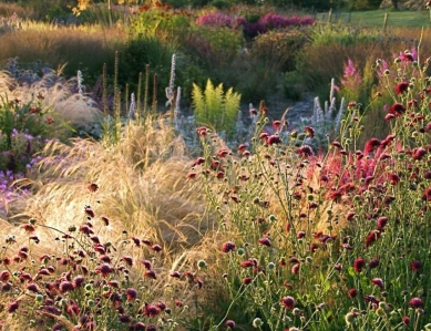 Piet Oudolf - portrét současné evropské krajinářské architektury  - Private garden, West Cork – Ireland - foto: www.oudolf.com