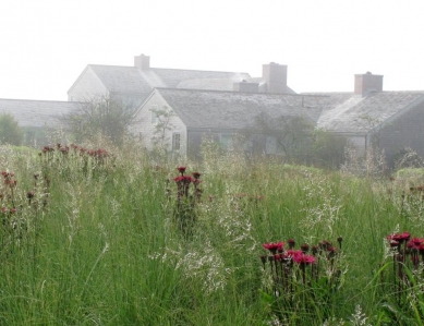 Piet Oudolf - portrét současné evropské krajinářské architektury  - Nantucket, Island - foto: www.oudolf.com