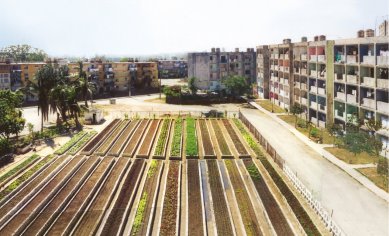 Ve Vídni probíhá výstava Hands-On Urbanism 1850–2012 - Organopónicos Populares (Urban Community Gardens) v Cienfuegos, Kuba - foto: © Bohn&Viljoen Architects