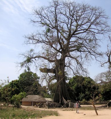 House of the impluvium, multi-storey house and architectural forms in&nbspCasamance - Object 10: Musée Diola, room with impluvium - foto: Pavel Nasadil, 2012