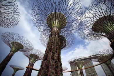 V Singapuru zahájil provoz pro veřejnost park s umělými stromy - foto: Choo Yut Shing