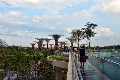V Singapuru zahájil provoz pro veřejnost park s umělými stromy - foto: Choo Yut Shing