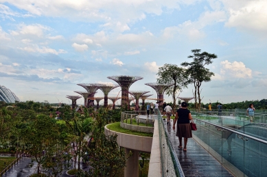 V Singapuru zahájil provoz pro veřejnost park s umělými stromy - foto: Choo Yut Shing