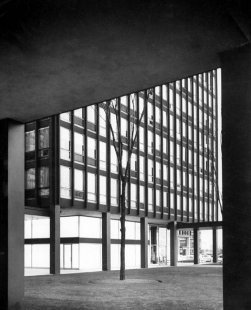 Tadao Ando : Agónie utkvělé myšlenky - potíž s vytrvalostí - Ludwig Mies van der Rohe : 860 a 880 Lake Shore Drive Apartments, Chicago, 1948-51 