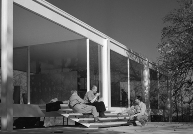 Tadao Ando : Agónie utkvělé myšlenky - potíž s vytrvalostí - Ludwig Mies van der Rohe :  Edith Farnsworth House, Plano, 1951 