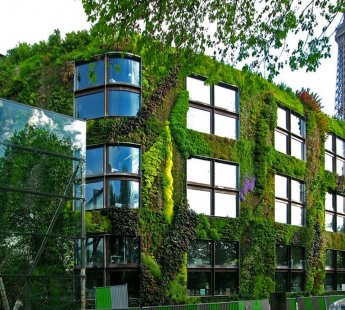 Francouzský designér Patrick Blanc odívá budovy do zeleně