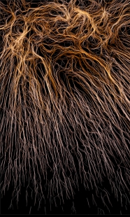 O užitečných nástrojích - Multiagentní stroj na kreslení (školní projekt, UPenn, USA)