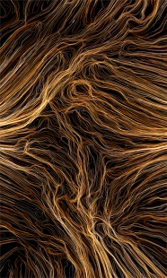 O užitečných nástrojích - Multiagentní stroj na kreslení (školní projekt, UPenn, USA)