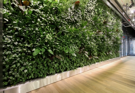 Vertical gardens - Metrostav Headquarters