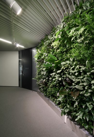 Vertical gardens - Metrostav Headquarters