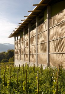 Insights from the working group with Fabio Gramazio and Toni Kotnik - Fasade of Gantenbein winery, Fläsch, Switzerland 2006 - foto: © Ralph Feiner