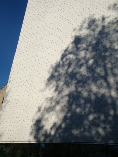 Concrete blooming facade on the Museum in Bregenz