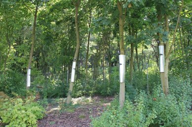 V Otevřené zahradě měří chladicí účinek stromů na městské klima