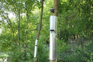 V Otevřené zahradě měří chladicí účinek stromů na městské klima