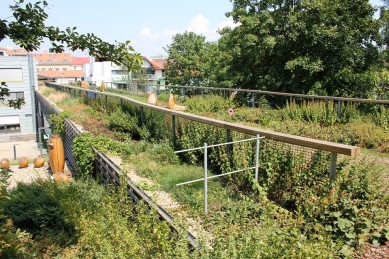 V Otevřené zahradě měří chladicí účinek stromů na městské klima