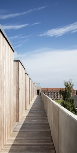 Sports Hall in Copenhagen by Dorte Mandrup - foto: Adam Mørk