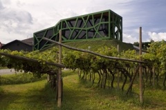 Architecture and Wine in Central Europe - Exhibition in Brno - Cantina Tramin, Italy