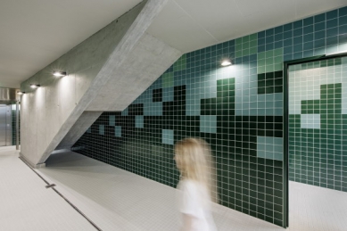 Swimming pool in Erlenbach by illiz architecture - foto: Hertha Hurnaus
