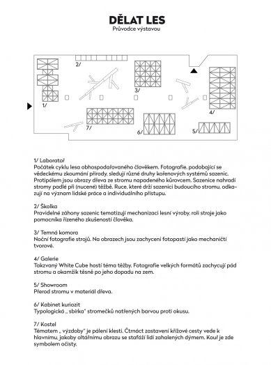 Making the forest for architects