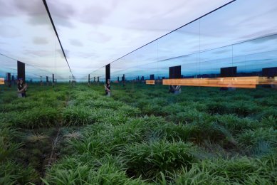 La Biennale di Venezia 2018 - ohlédnutí Ondřeje Hojdy za výstavou - Argentina - foto: Ondřej Hojda, 2018