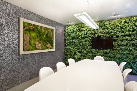 Moss pictures will give your interior a harmonious piece of nature