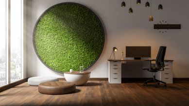 Moss pictures will give your interior a harmonious piece of nature