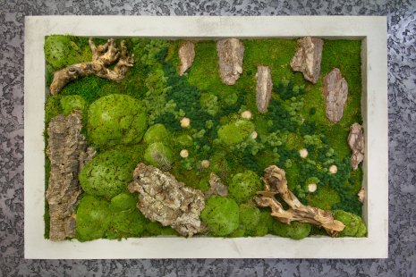 Moss pictures will give your interior a harmonious piece of nature