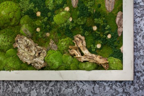 Moss pictures will give your interior a harmonious piece of nature