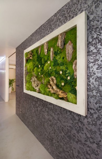 Moss pictures will give your interior a harmonious piece of nature