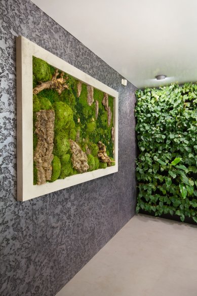 Moss pictures will give your interior a harmonious piece of nature