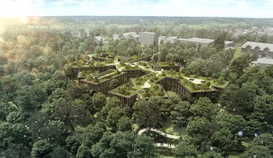 CHKAA získali ocenění Design Vanguard 2019 - Czech Forestry Headquarters - foto: CHKAA