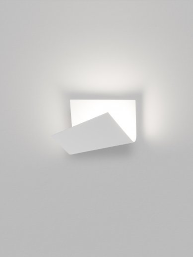 ANNUAL EDITION OF THE LIGHT BIBLE