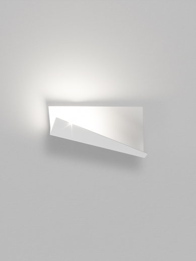 ANNUAL EDITION OF THE LIGHT BIBLE