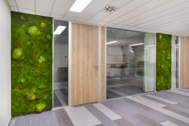 Moss walls will bring a harmonious piece of nature to your interior