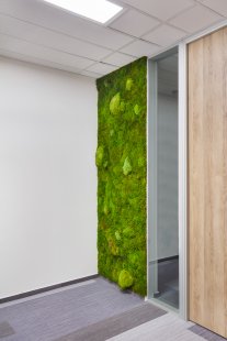 Moss walls will bring a harmonious piece of nature to your interior