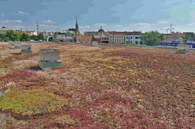 Plzeň zelená a modrá: Město a změna klimatu - Pohled na centrum Plzně ze střechy obchodně administrativního centra RODNEL - foto: Václav Čubr (Envic)