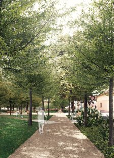 Results of the competition for the renovation of Peace Square in Hodonín - 1st place – MAAUS s.r.o.