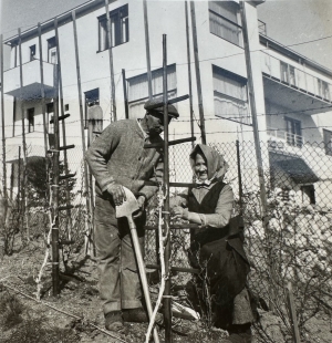 The Story of Villa Wittal - Vila Wittal photographed from the neighboring garden of Hroznová 41, undated after 1932. Private archive of Iva Šenkýřová, née Křížová.