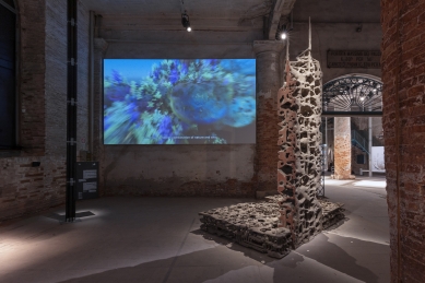 Biotopia: Propagative Structures - foto: Celestia Studio