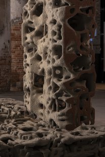 Biotopia: Propagative Structures - foto: Celestia Studio
